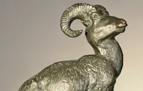 Alt text: Bronze sculpture of a Bighorn Sheep