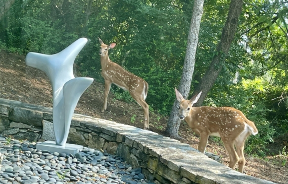 Alt text: 2 deer next to an outdoor sculpture