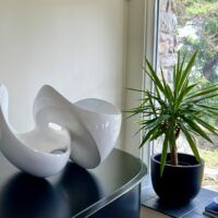 Alt text: glossy, oval shaped sculpture next to a plant